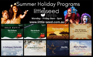 Little Seed SHP Advert