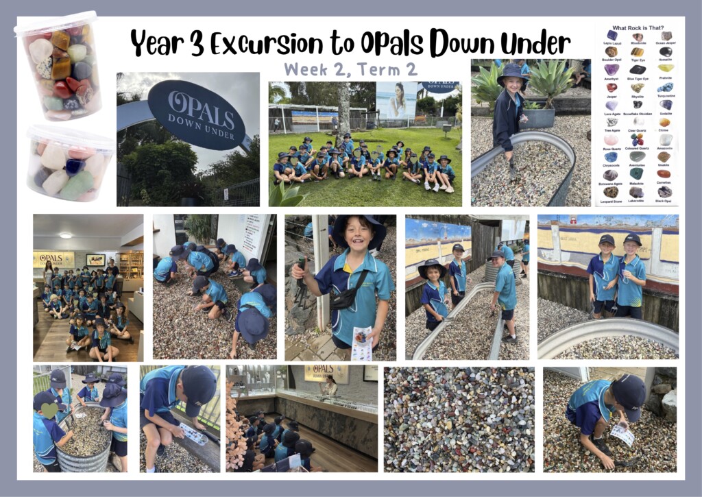 Newsletter Excursion Photos Opals Down Under